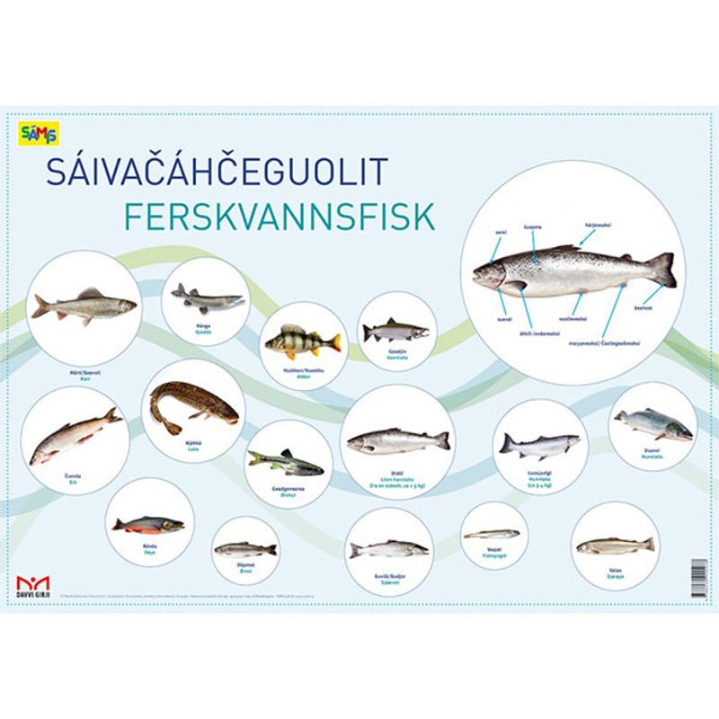 Plakater nordsamisk-norsk