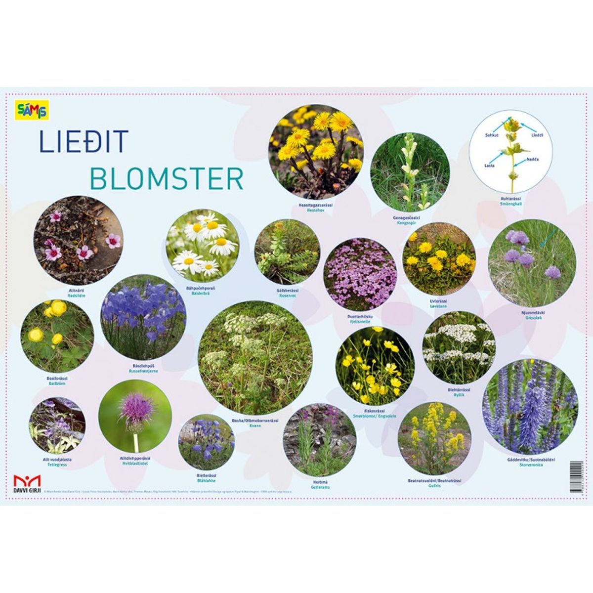 Plakater nordsamisk-norsk