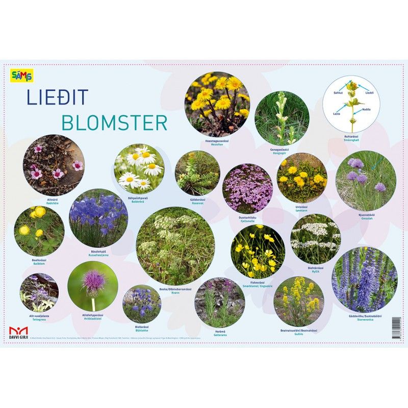 Plakater nordsamisk-norsk